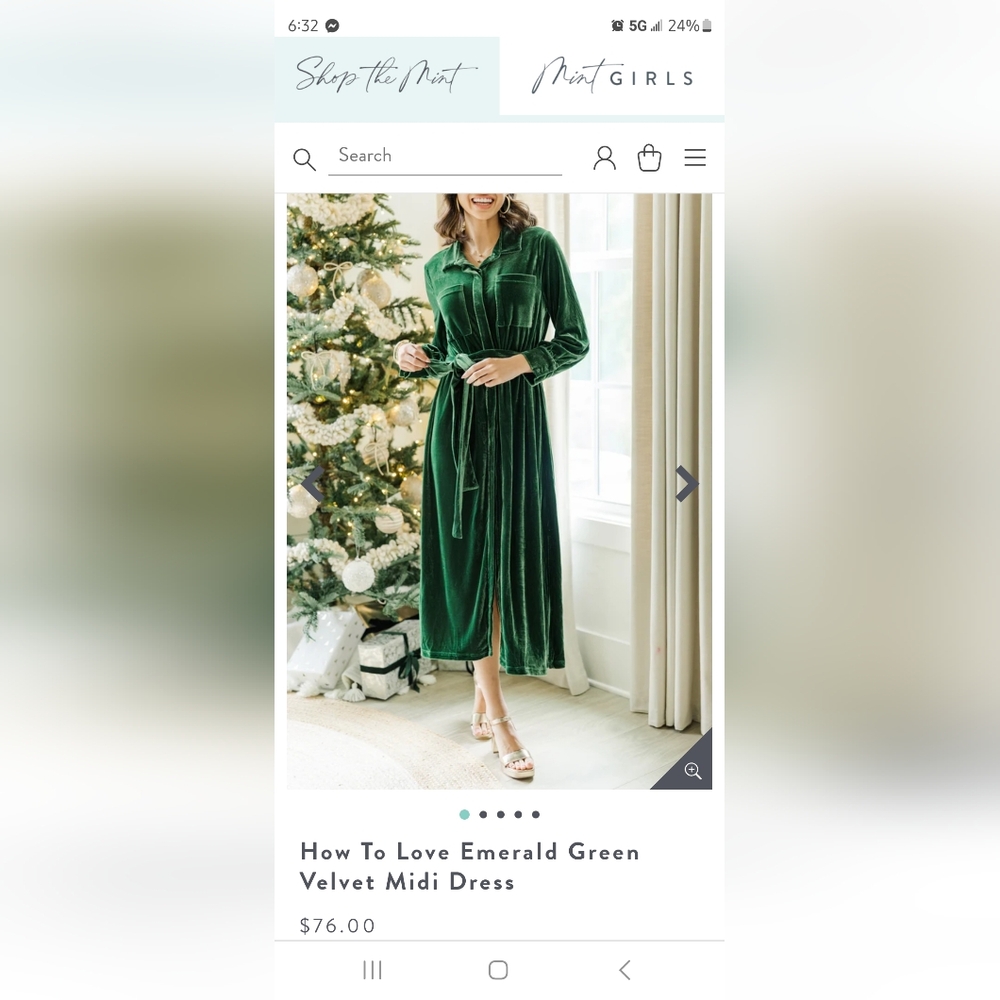 Mint Julep Velvet dress NWOT large - Picture 2 of 5